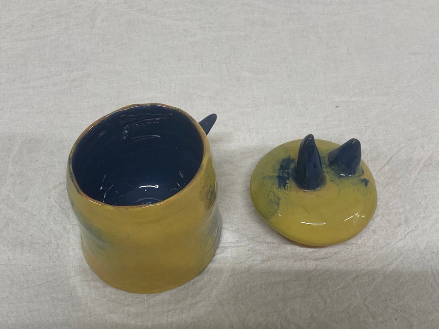 Barattolo giallo e blu, il coperchio