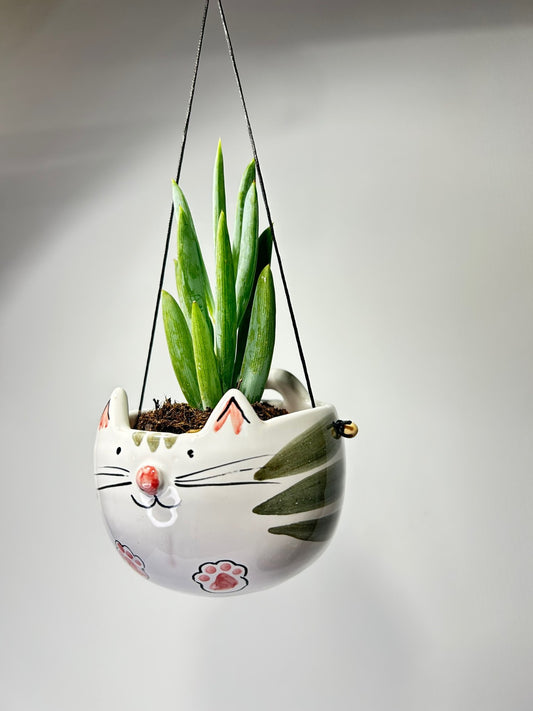 Il vaso a muso di gatto appeso a un filo, con una pianta grassa che spunta dalla testa.