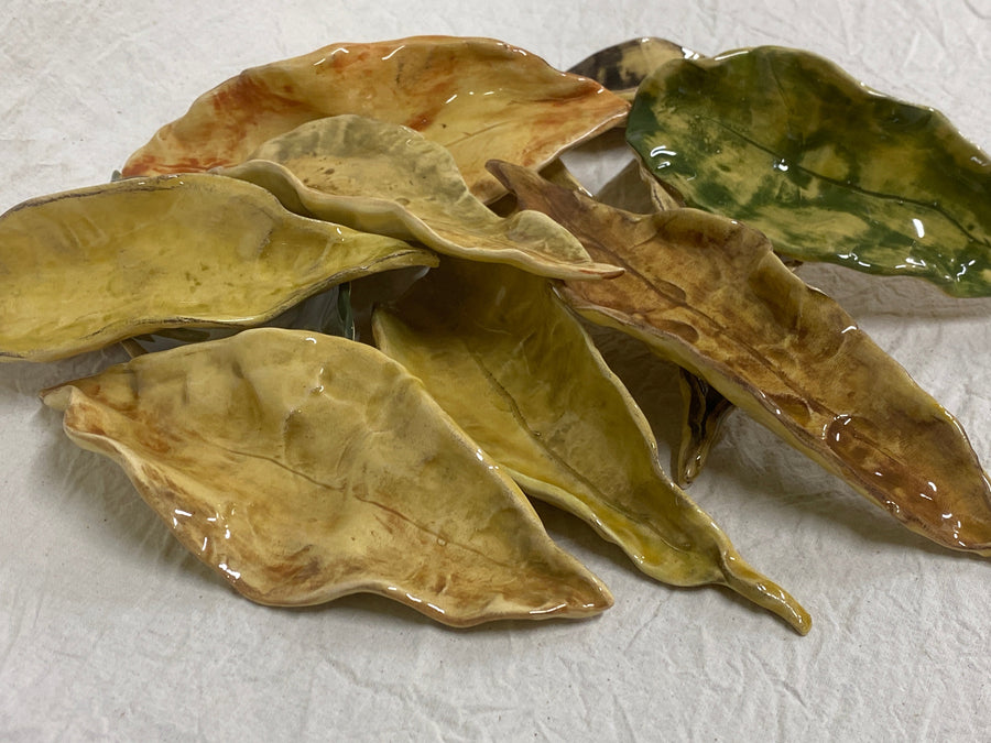 The long leaves in the four colours