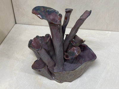 Scultura marina di cannolicchi in terra rossa