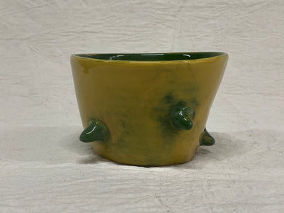 Bolo piccolo verde e giallo con cactus dipinti