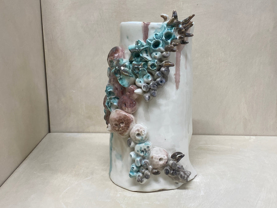 Vaso conchiglie alto, veduta laterale