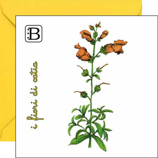 Il biglietto quadrato con Bocca di Leone e la sua busta, I Fiori di Catia n. 2 — Bookendipity