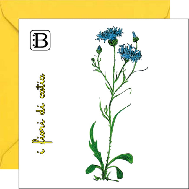 Il biglietto quadrato con Fiordaliso e la sua busta, I Fiori di Catia n. 2 — Bookendipity