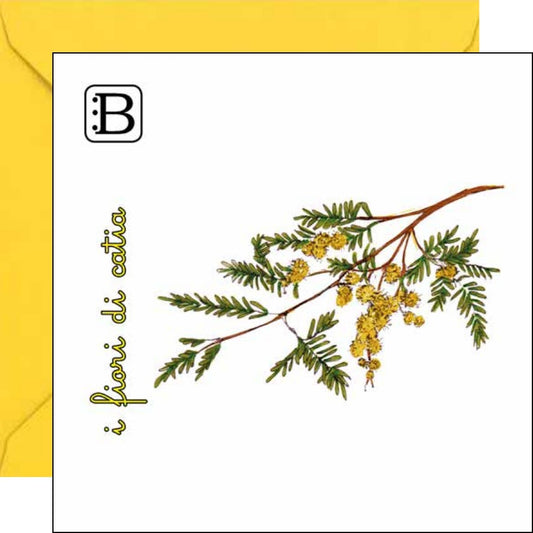 Il biglietto quadrato con Mimosa e la sua busta, I Fiori di Catia n. 2 — Bookendipity