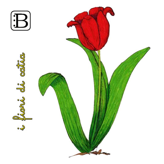 Il biglietto quadrato con Tulipano, I Fiori di Catia n. 1 — illustrazione di Gabriele Rondini per Bookendipity