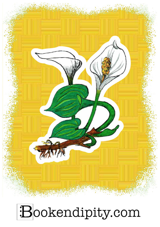 Il MegaMiniPoster con Calla, I Fiori di Catia n. 2 — illustrazione di Gabriele Rondini per Bookendipity