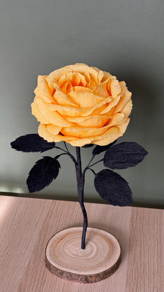 Rosa Albicocca in Carta — GlowBlooms, fatto a mano a Collesalvetti