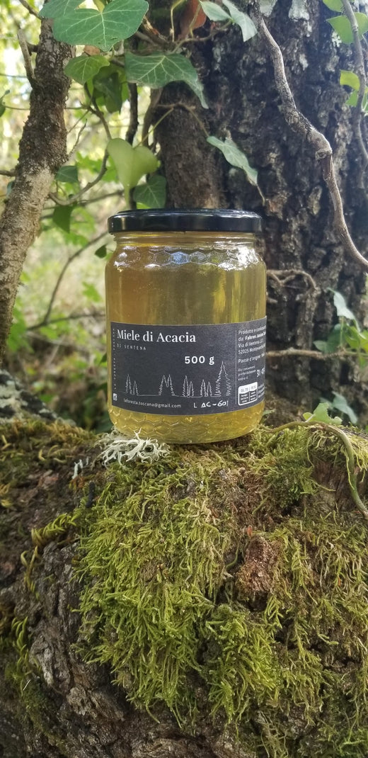 Il vasetto da 500 g con l'etichetta Miele di Acacia, appoggiato sul muschio