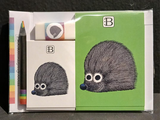 Il kit Leggi & Colora dedicato al Riccio, chiuso nella busta: i due taccuini, la matita, il righello e la gomma