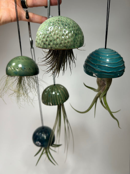 Cinque meduse di ceramica appese, verdi e blu, con le piante aeree che scendono come tentacoli.