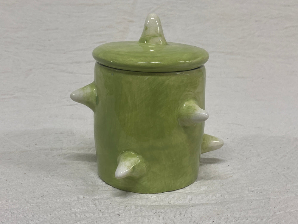 Barattolo piccolo verde con cactus dipinti