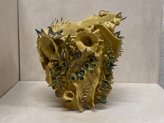 Vaso miele marino, dettaglio
