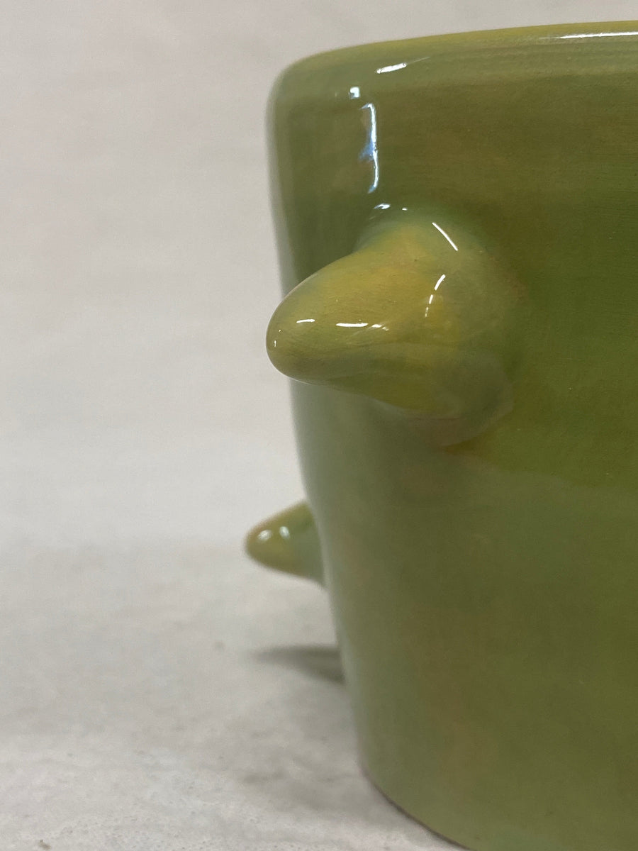 Tazza verde e gialla, veduta dall'alto
