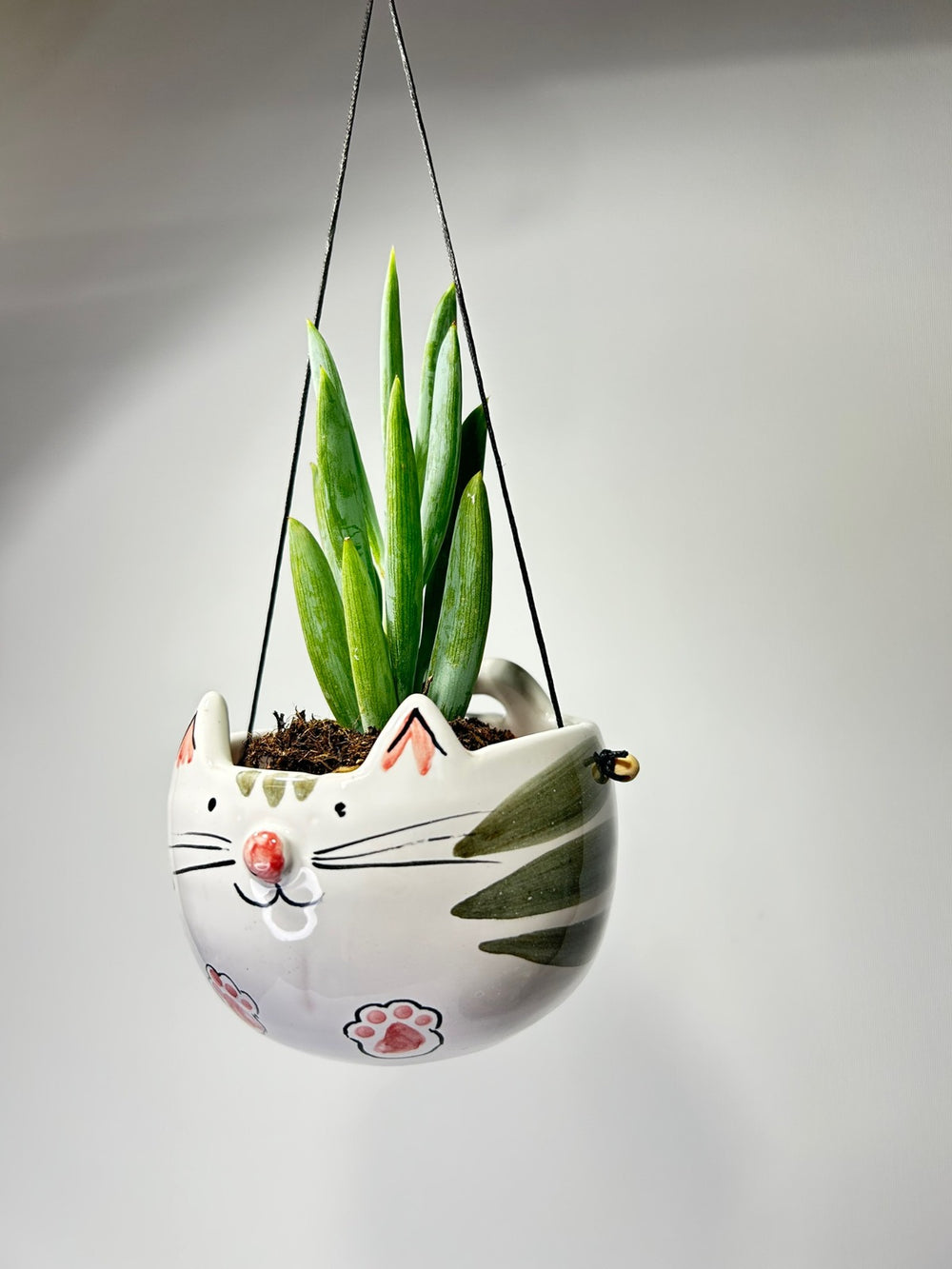 Il vaso a muso di gatto appeso a un filo, con una pianta grassa che spunta dalla testa.