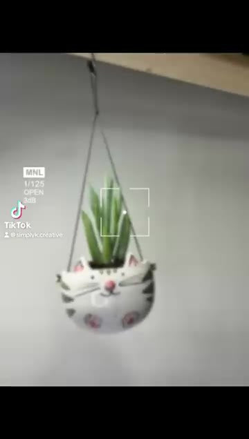 Lo stesso vaso appeso, ripreso da più lontano contro una parete chiara.