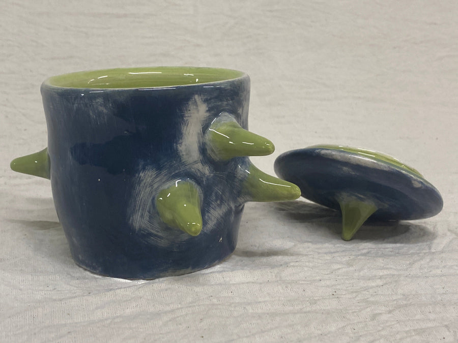 Barattolo blu e verde, veduta d'insieme