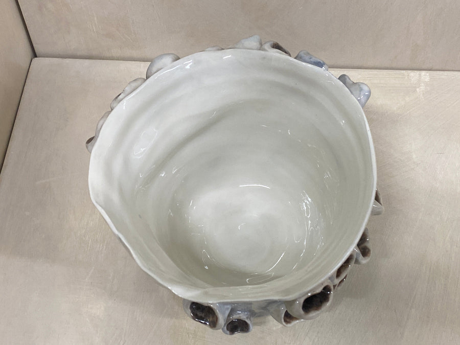 Vaso anemone blu, veduta laterale