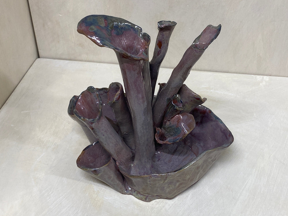 Scultura marina di cannolicchi in terra rossa