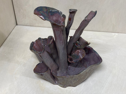 Scultura marina di cannolicchi in terra rossa
