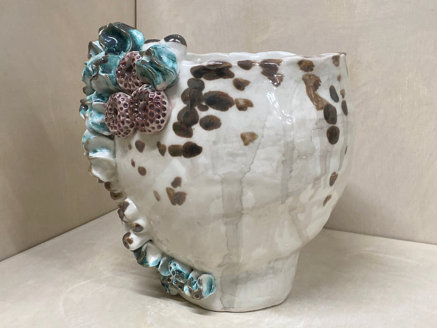Vaso conchiglie, veduta laterale