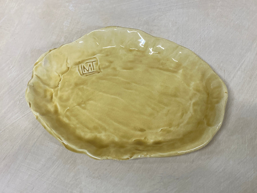 Set conchiglie, veduta d'insieme