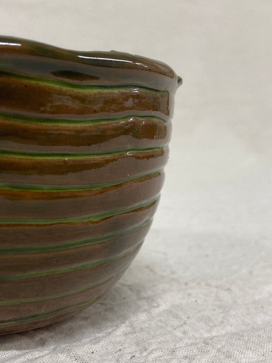 Bolo piccolo verde, dettaglio