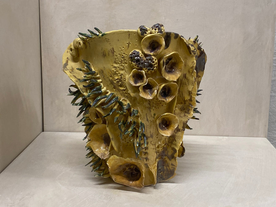 Vaso miele marino, veduta laterale
