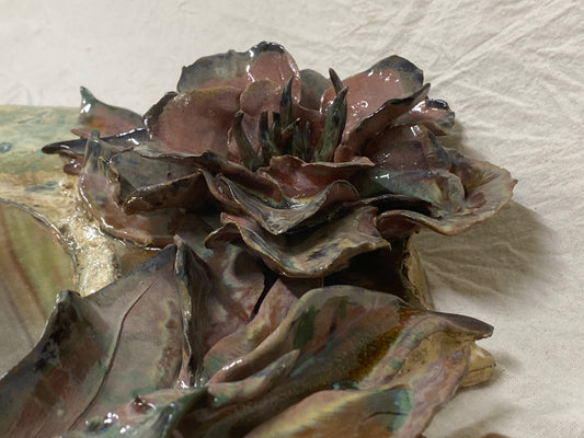 Specchiera peonia, dettaglio dei petali