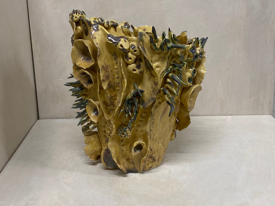 Vaso miele marino, veduta d'insieme