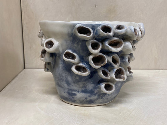 Vaso anemone blu, dettaglio