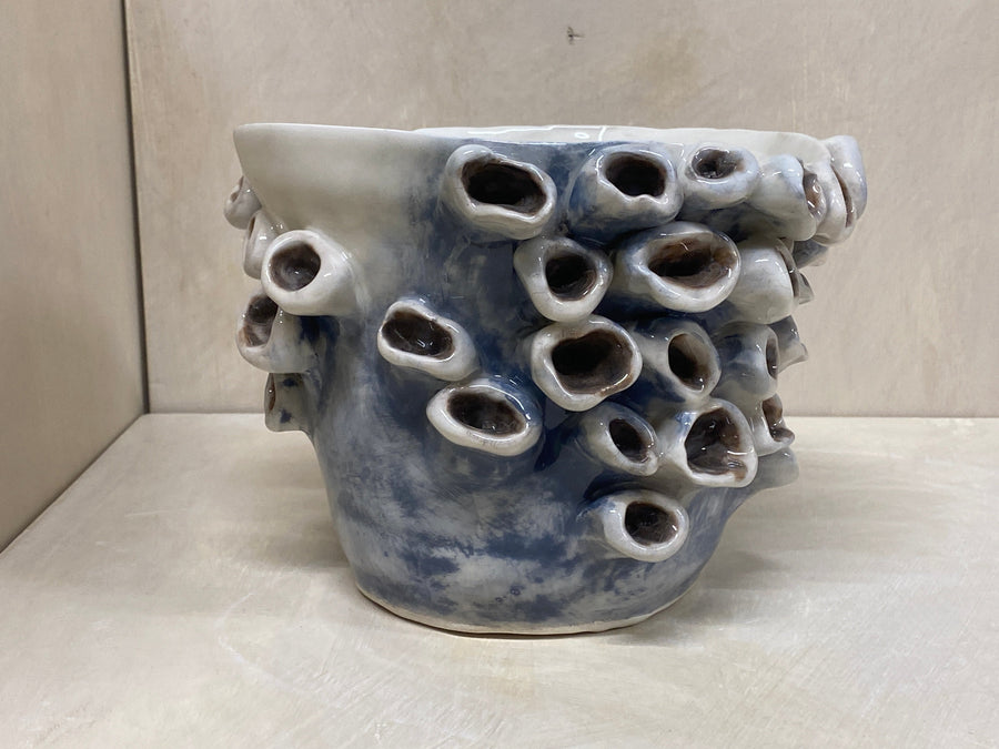 Vaso anemone blu, dettaglio