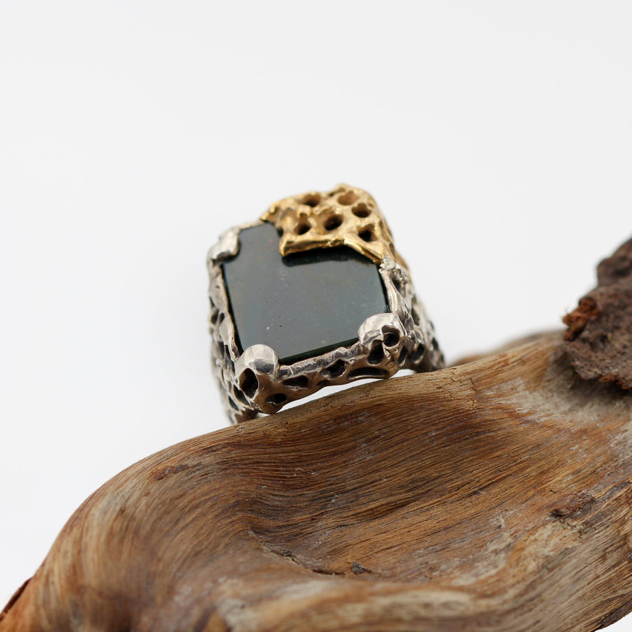 L'anello intero appoggiato su un legno, di tre quarti
