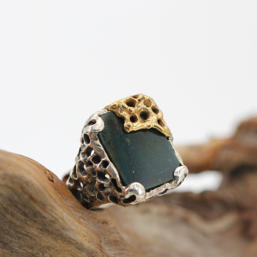 La testa dell'anello di fronte, appoggiata su un legno