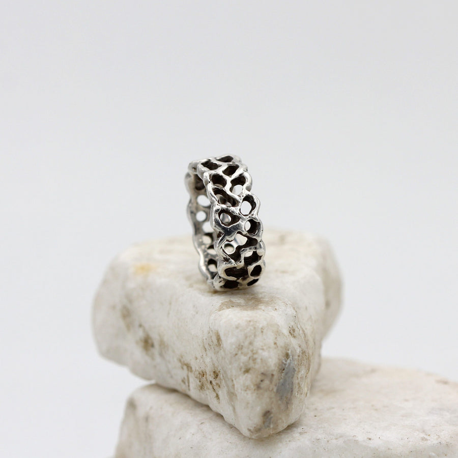 The ring standing on a stone, the wall seen from the front: through the openings you can see right through.