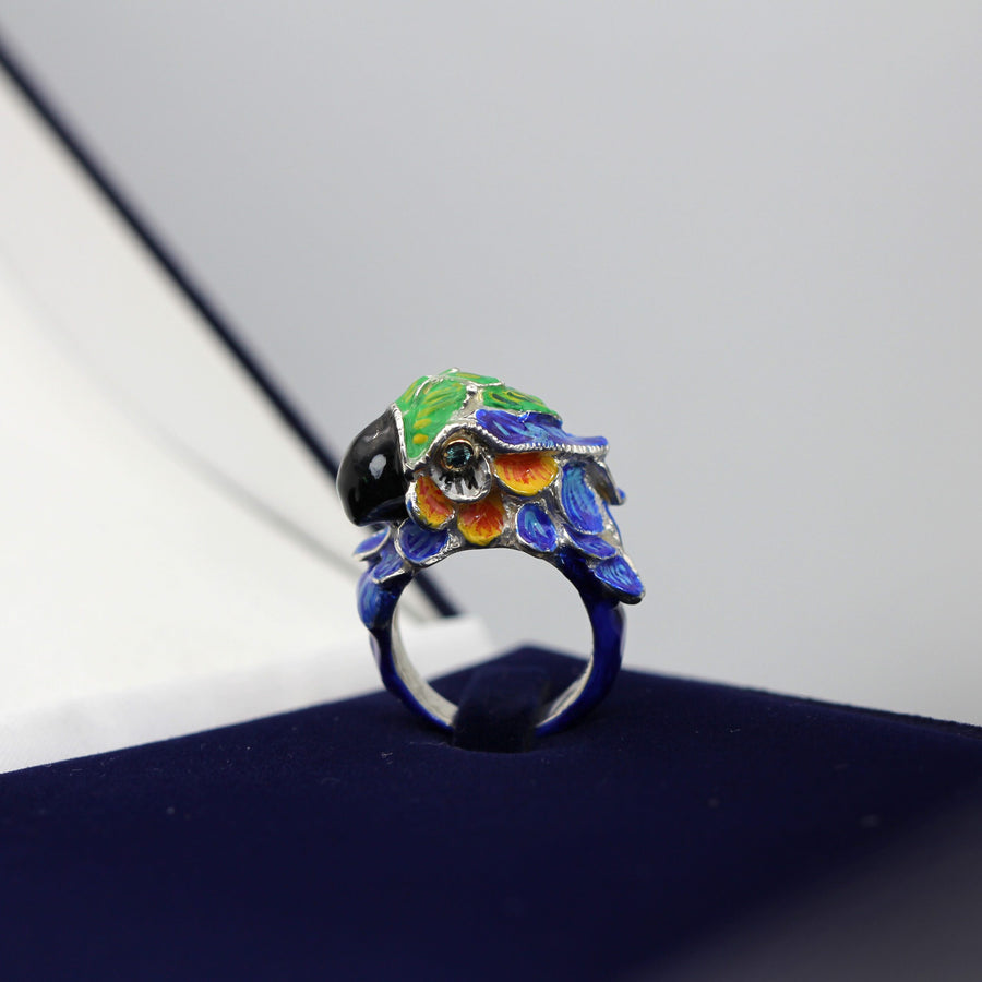 L'anello in piedi su fondo blu, ripreso in luce diffusa
