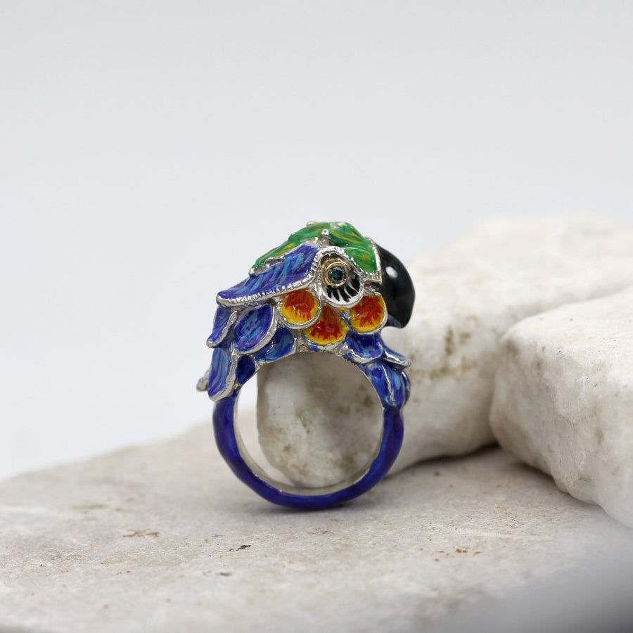 L'anello appoggiato alla pietra, con il gambo blu visibile per intero