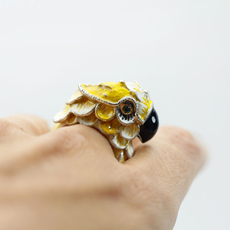 L'anello indossato, veduta dall'alto della mano, che dà la misura della testa sul dito