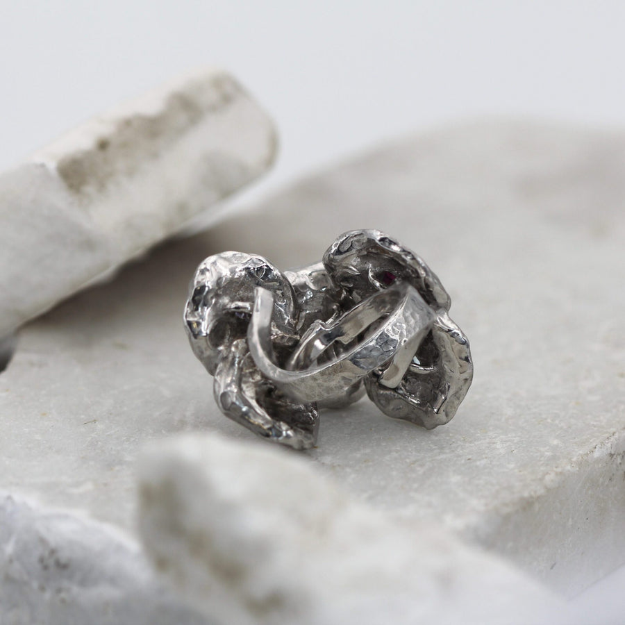 Il rovescio dell'anello: il dorso liscio delle corolle e l'attacco alla fascia