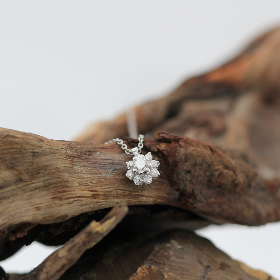 Resting on a wooden branch, at a distance: how small it really is