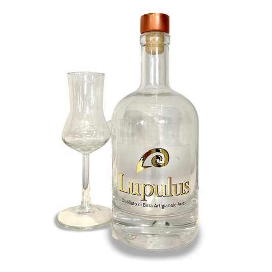 La bottiglia di Lupulus accanto al bicchiere da degustazione