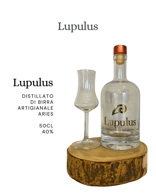 L'etichetta di Lupulus, distillato di birra artigianale da 50 cl