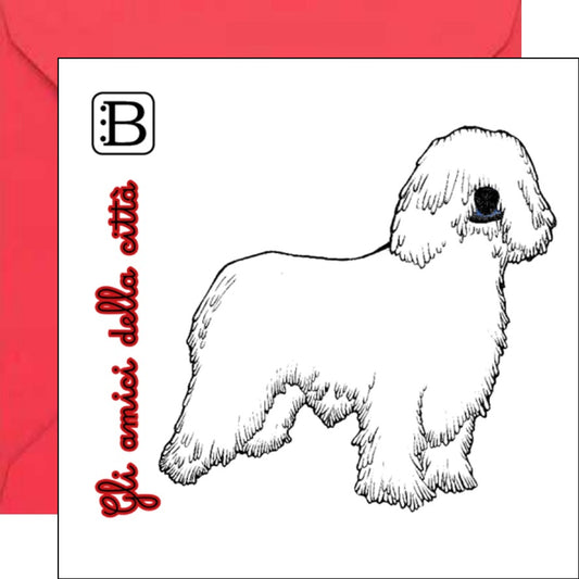 Il biglietto quadrato con Cane e la sua busta, Gli Amici della Città — Bookendipity