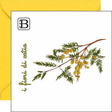 Il biglietto quadrato con Mimosa e la sua busta, I Fiori di Catia n. 2 — Bookendipity