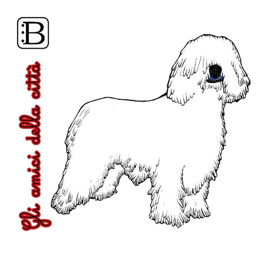 Il biglietto quadrato con Cane, Gli Amici della Città — illustrazione di Gabriele Rondini per Bookendipity