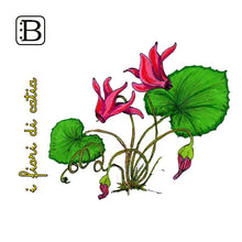 Il biglietto quadrato con Ciclamino, I Fiori di Catia n. 1 — illustrazione di Gabriele Rondini per Bookendipity
