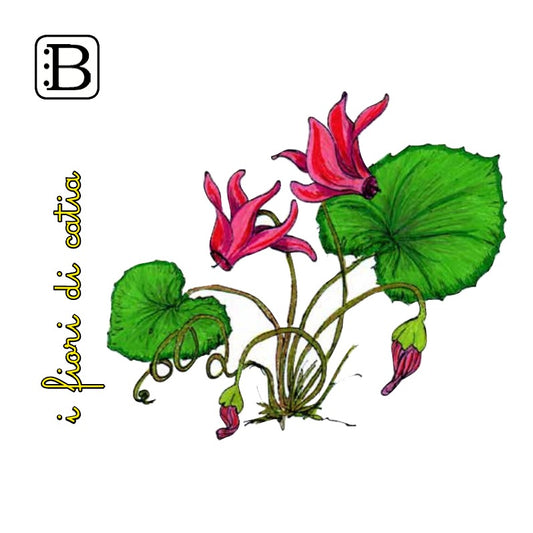 Il biglietto quadrato con Ciclamino, I Fiori di Catia n. 1 — illustrazione di Gabriele Rondini per Bookendipity