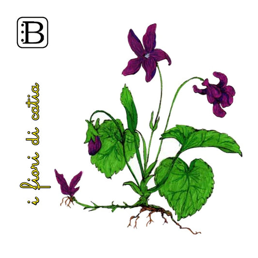 Il biglietto quadrato con Violetta, I Fiori di Catia n. 2 — illustrazione di Gabriele Rondini per Bookendipity