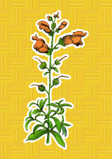 Bocca di Leone, personaggio di «I Fiori di Catia n. 2» — illustrazione di Gabriele Rondini per Bookendipity