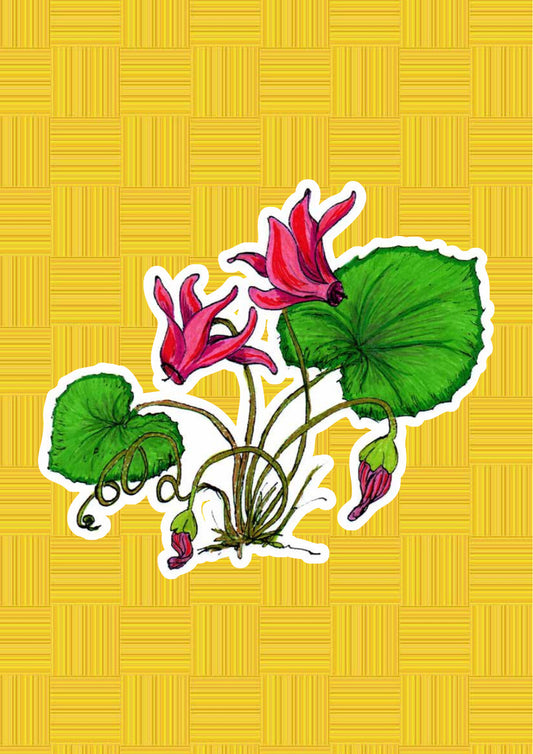 Ciclamino, personaggio di «I Fiori di Catia n. 1» — illustrazione di Gabriele Rondini per Bookendipity
